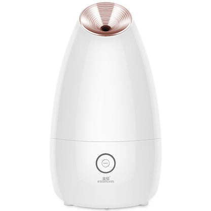 Face Steamer Beauty Instrument Steam Face Sprayer